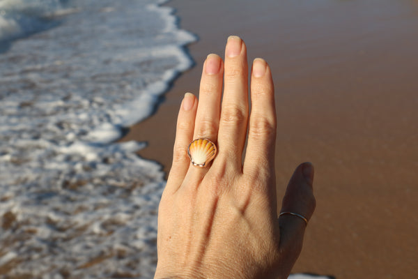 Sunrise Shell Ring in 14k Gold Fill