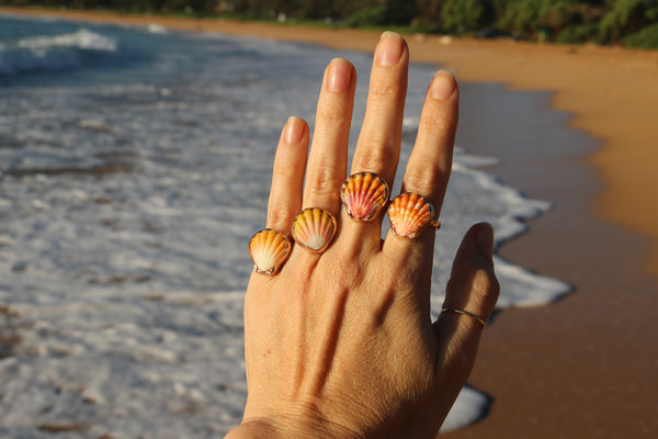 Sunrise Shell Ring in 14k Gold Fill