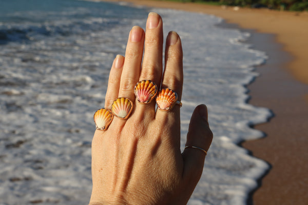 Sunrise Shell Ring in 14k Gold Fill