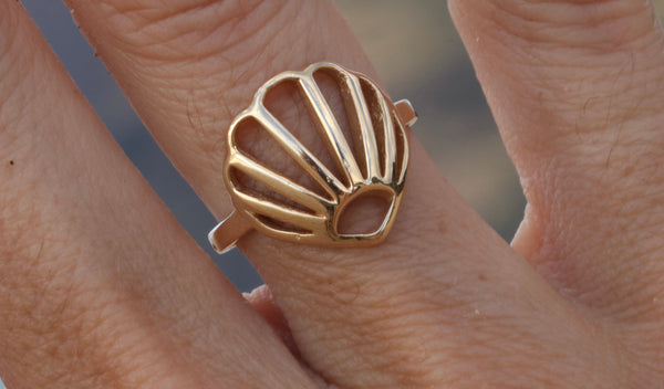 Chey Shell Ring in 14k Gold