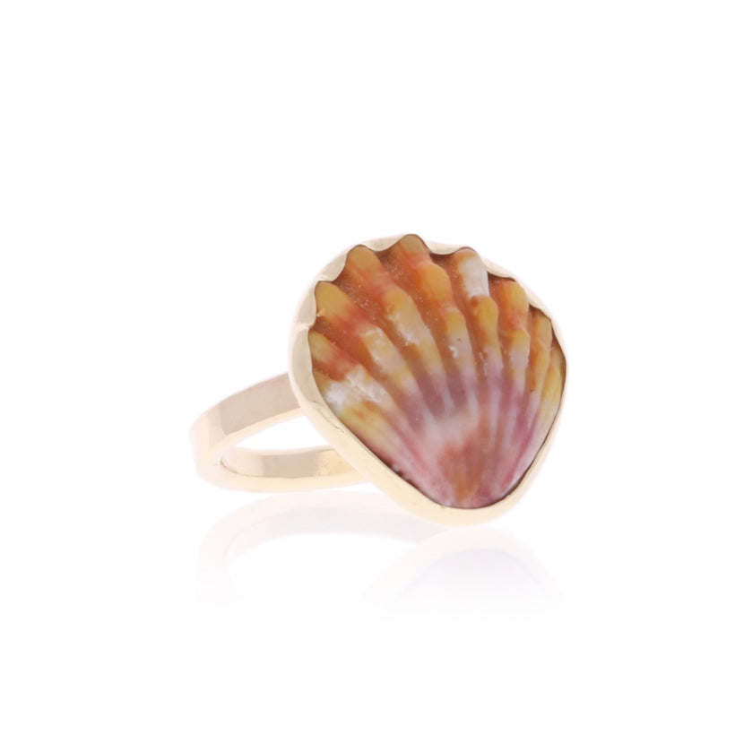 Sunrise Shell Jewelry